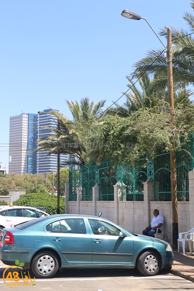 inara 7sanbek (6).JPG